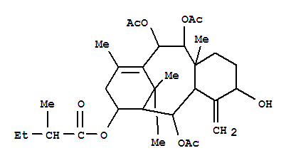 Butanoicacid, 2-methyl-,5,11,12-tris(acetyloxy)-1,2,3,4,4a,5,6,7,8,11,12,12a-dodecahydro-3-hydroxy-9,12a,13,13-tetramethyl-4-methylene-6,10-methanobenzocyclodecen-7-ylester, [3S-(3a,4aa,5a,6a,7a,11b,12a,12ab)]-