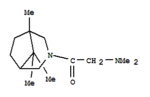 2-(dimethylamino)-1-(1,8,8-trimethyl-3-azabicyclo[3.2.1]oct-3-yl)ethanone