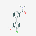 3-(4-chloro-3-hydroxyphenyl)-n,n-dimethylbenzamide