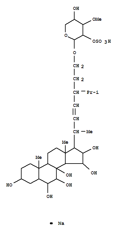 OreasterosideK