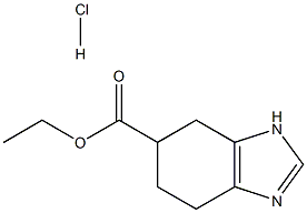 Ethyl 4,5,6,7-tetrahydro-1H-benzo[d]iMidazole-6-carboxylate hydrochloride