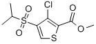 METHYL 3-CHLORO-4-(ISOPROPYLSULFONYL)THIOPHENE-2-CARBOXYLATE