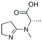 L-ALANINE,N-(3,4-DIHYDRO-2H-PYRROL-5-YL)-N-METHYL-