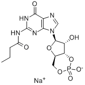 N2-MONOBUTYRYLGUANOSINE 3:5-CYCLIC MONOPHOSPHATE SODIUM SALT
