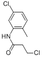 3-chloro-N-(5-chloro-2-methylphenyl)propanamide