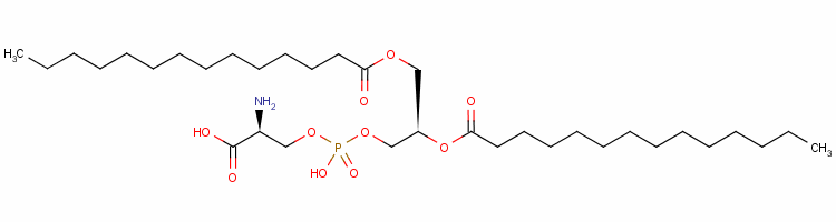 dimyristoylphosphatidylserine