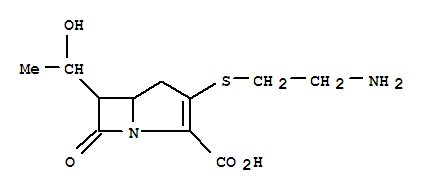 thienamycin