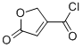 3-Furancarbonylchloride, 2,5-dihydro-5-oxo-