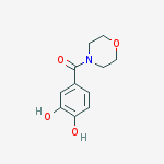 MORPHOLINE,4-(3,4-DIHYDROXYBENZOYL)-