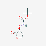 Carbamic acid, [[(3R)-tetrahydro-2-oxo-3-furanyl]oxy]-, 1,1-dimethylethyl ester