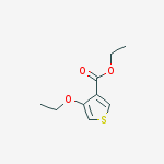 Ethyl 4-ethoxythiophene-3-carboxylate