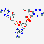 [2-(6-aminopurin-9-yl)-5-[[[2-(6-aminopurin-9-yl)-5-(hydroxymethyl)tetrahydrofuran-3-yl]oxy-hydroxy-phosphoryl]oxymethyl]tetrahydrofuran-3-yl] [5-(6-aminopurin-9-yl)-4-hydroxy-tetrahydrofuran-2-yl]methyl hydrogen phosphate