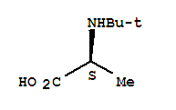 L-Alanine,N-(1,1-dimethylethyl)-