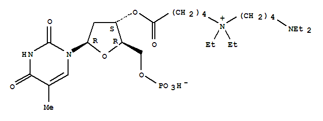 3'-O-(5-{[4-(diethylamino)butyl](diethyl)ammonio}pentanoyl)-5'-O-(hydroxyphosphinato)thymidine