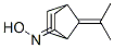 BICYCLO[2.2.1]HEPT-5-EN-2-ONE,7-(ISOPROPYLIDENE)-,OXIME molecular structure