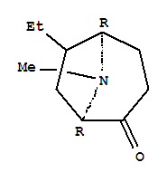 8-Azabicyclo[3.2.1]octan-2-one,6-ethyl-8-methyl-, (1R,5R)-rel-