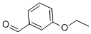 3-Ethoxy Benzaldehyde