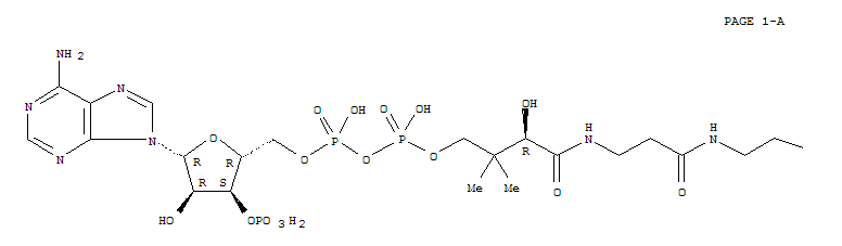 Coenzyme A,S-tetracosanoate molecular structure