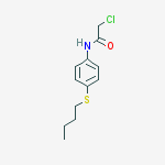 N-[4-(butylsulfanyl)phenyl]-2-chloroacetamide