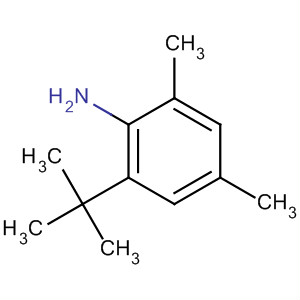 Benzenamine, 2-(1,1-dimethylethyl)-4,6-dimethyl- molecular structure
