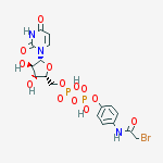 5'-O-[{[{4-[(bromoacetyl)amino]phenoxy}(hydroxy)phosphoryl]oxy}(hydroxy)phosphoryl]uridine molecular structure