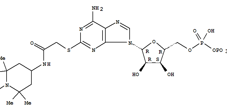 2-(4-ACETAMIDO-2,2,6,6-TETRAMETHYLPIPERIDINE-1-OXYL)THIOADENOSINE-5'-DIPHOSPHONATE molecular structure