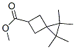1,1,2,2-Tetramethylspiro[2.3]hexane-5-carboxylic acid methyl ester molecular structure