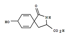 delta-(spiro-4-hydroxy-2,5-cyclohexadienyl)pyroglutamate