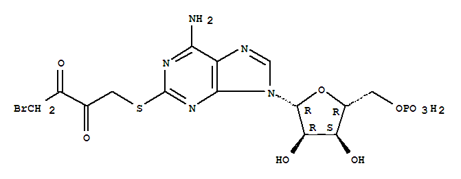 2-((4-bromo-2,3-dioxobutyl)thio)adenosine 5-monophosphate